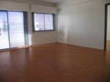Reception or Lounge
